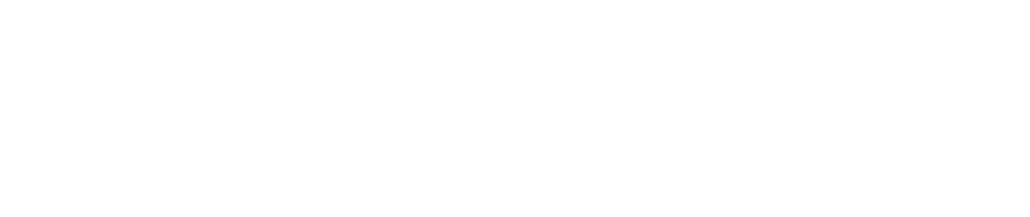 Shopify Plus logo