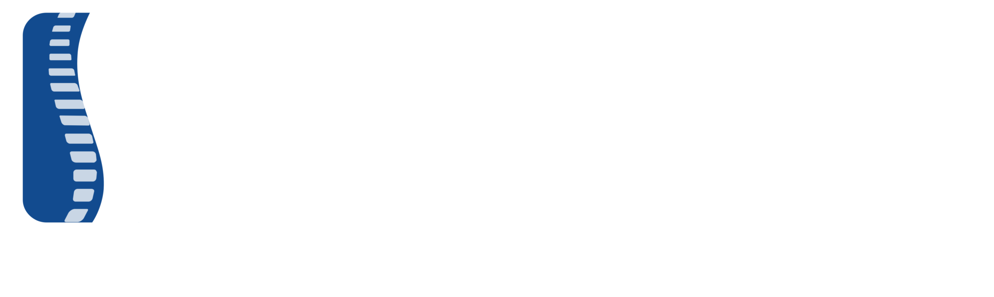 North American Spine Society logo