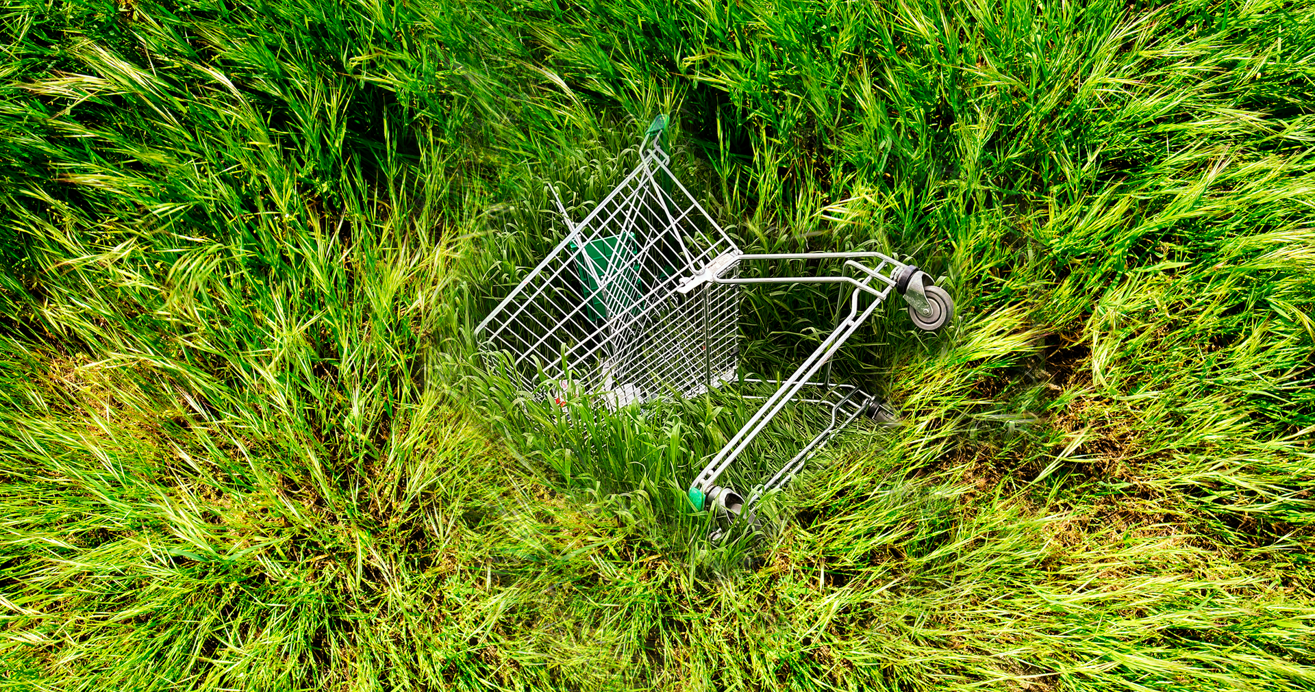 shopping cart in grass