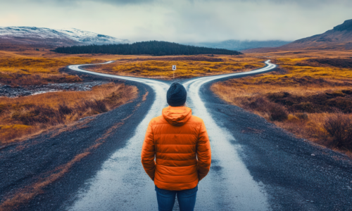 Reduce decision risk